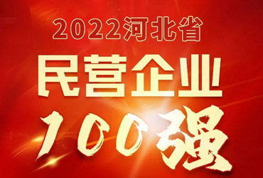 凯发20年一路同行生物入榜2022河北省民营企业100强