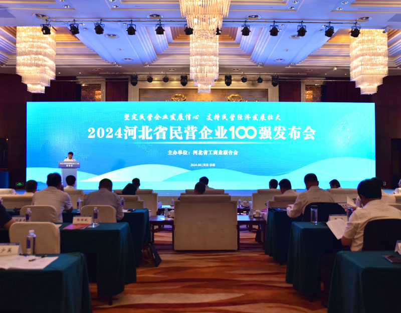 凯发20年一路同行生物荣登2024河北省民营企业四个百强榜