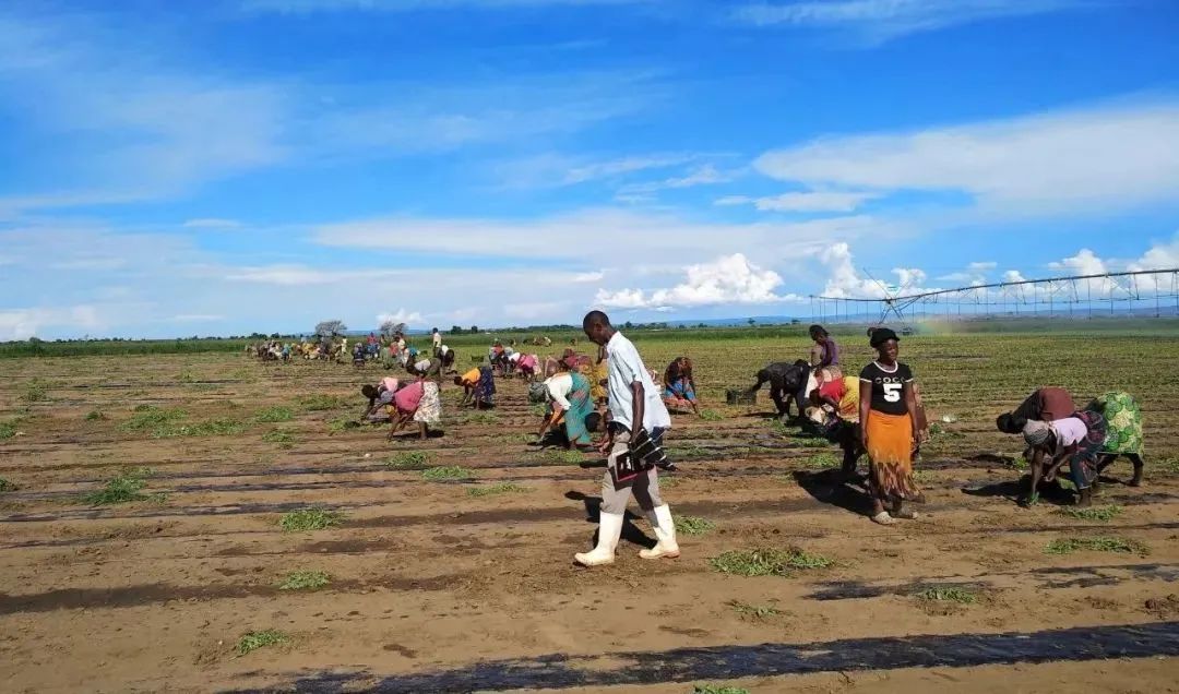 K8����(�й�)����Ӯ�ҡ�һ������