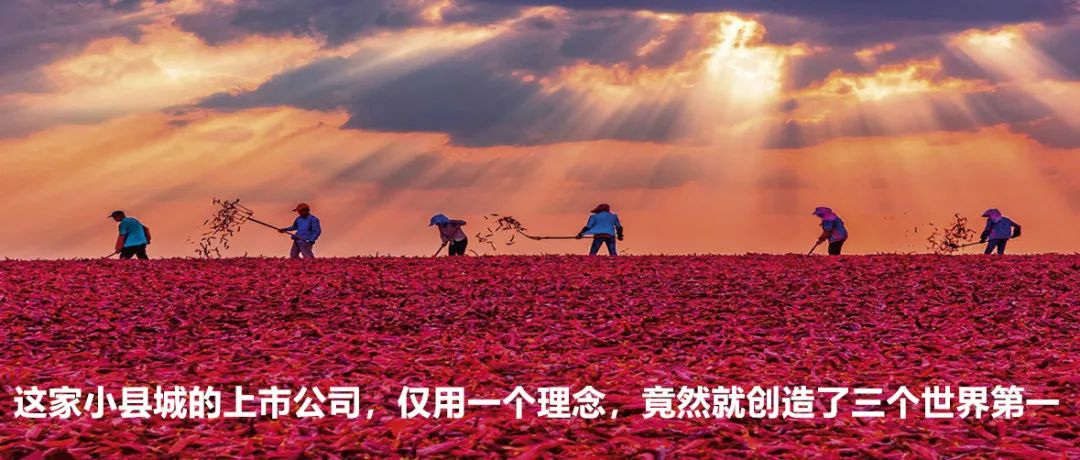 K8����(�й�)����Ӯ�ҡ�һ������