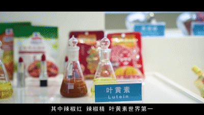 K8����(�й�)����Ӯ�ҡ�һ������