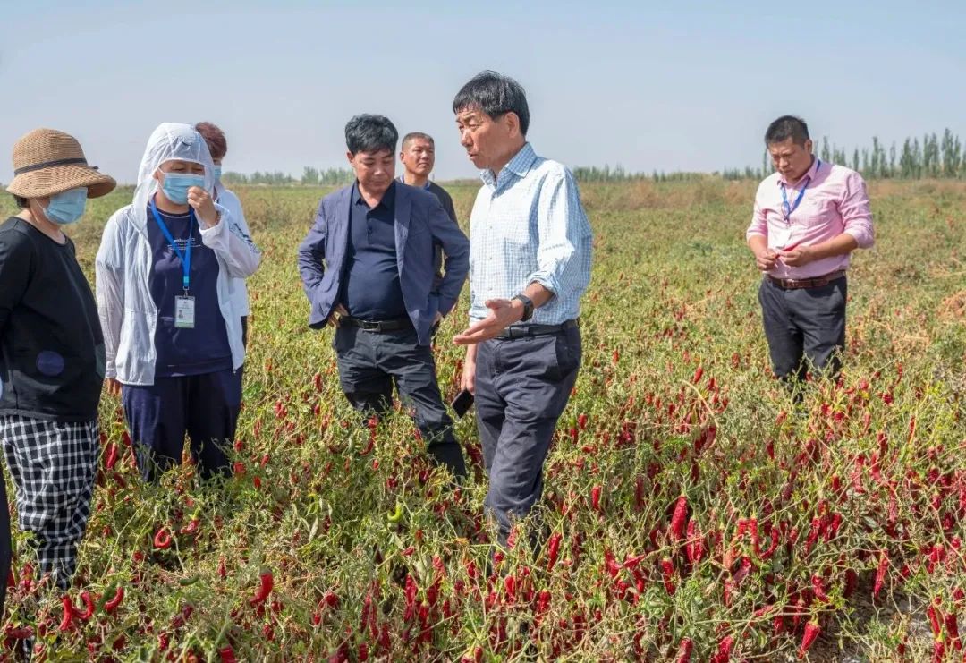 K8����(�й�)����Ӯ�ҡ�һ������