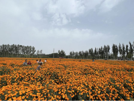 K8����(�й�)����Ӯ�ҡ�һ������