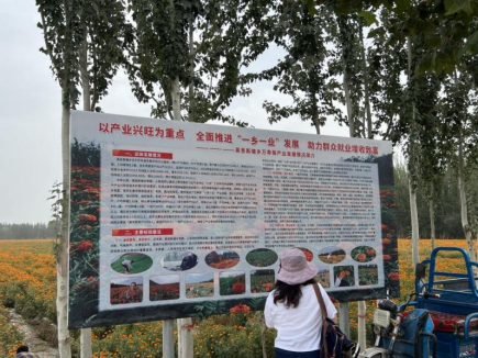 K8����(�й�)����Ӯ�ҡ�һ������