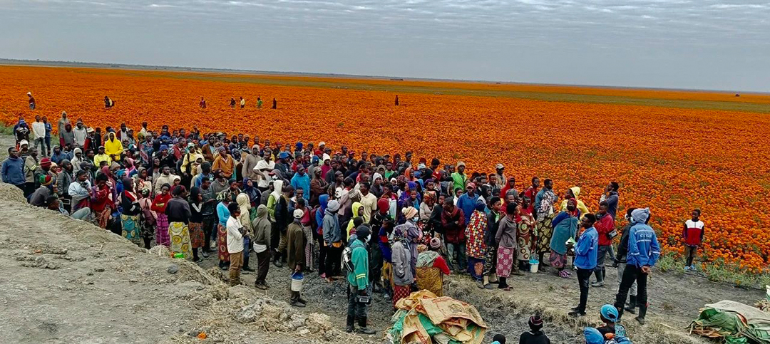 K8����(�й�)����Ӯ�ҡ�һ������