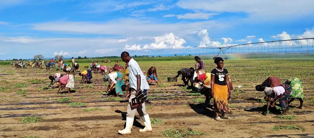 K8����(�й�)����Ӯ�ҡ�һ������