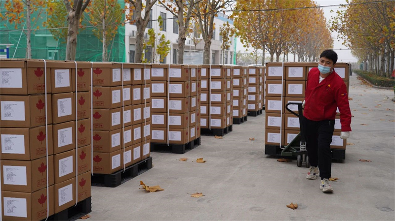 K8凯发(中国)天生赢家·一触即发