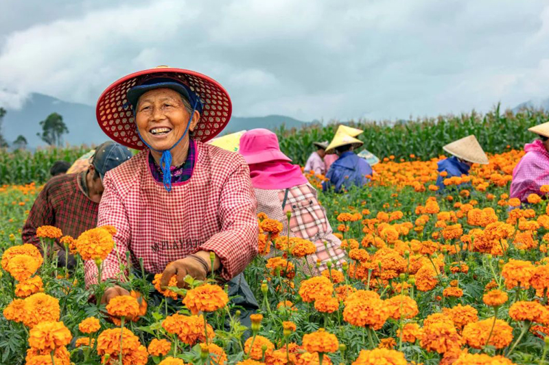 K8����(�й�)����Ӯ�ҡ�һ������