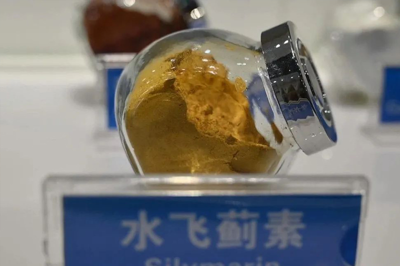 K8����(�й�)����Ӯ�ҡ�һ������