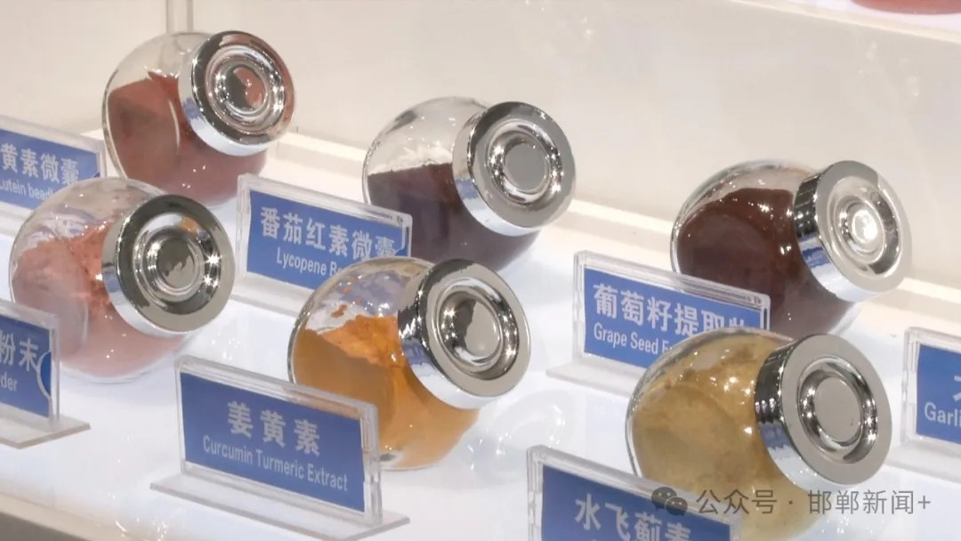 K8����(�й�)����Ӯ�ҡ�һ������