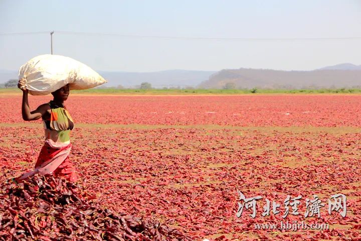 K8����(�й�)����Ӯ�ҡ�һ������