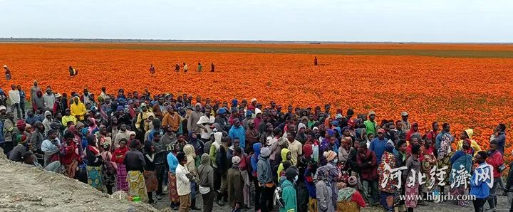 K8����(�й�)����Ӯ�ҡ�һ������