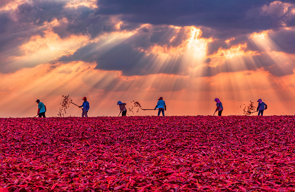 K8����(�й�)����Ӯ�ҡ�һ������