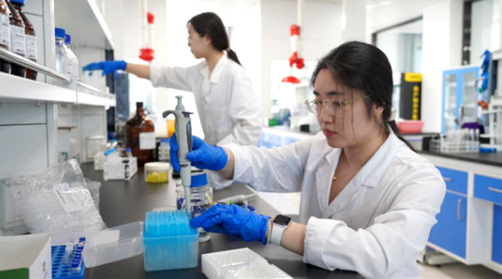 K8����(�й�)����Ӯ�ҡ�һ������