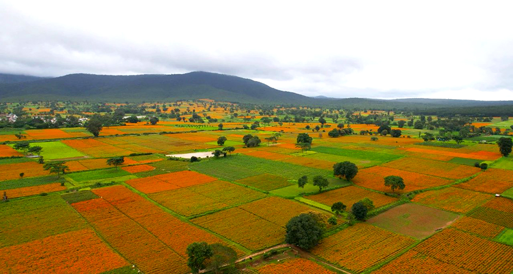 K8����(�й�)����Ӯ�ҡ�һ������