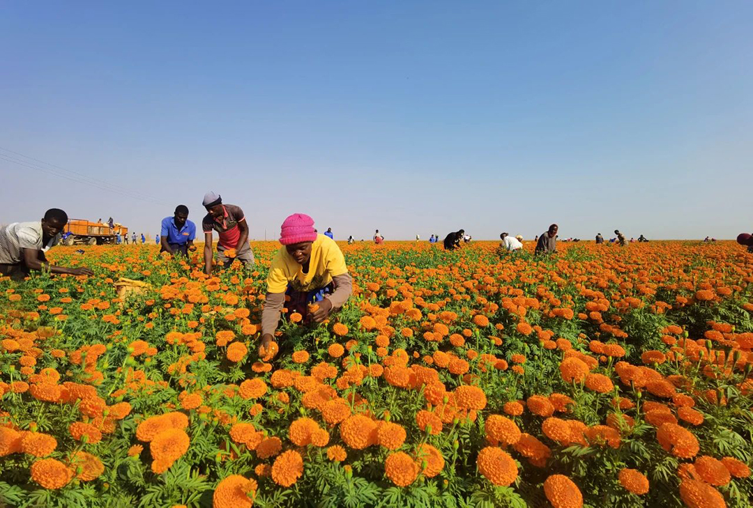 K8����(�й�)����Ӯ�ҡ�һ������