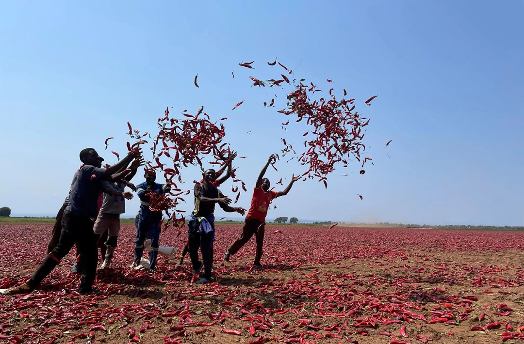 K8����(�й�)����Ӯ�ҡ�һ������