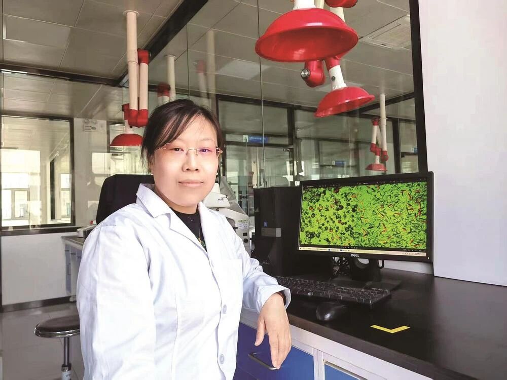 K8凯发(中国)天生赢家·一触即发